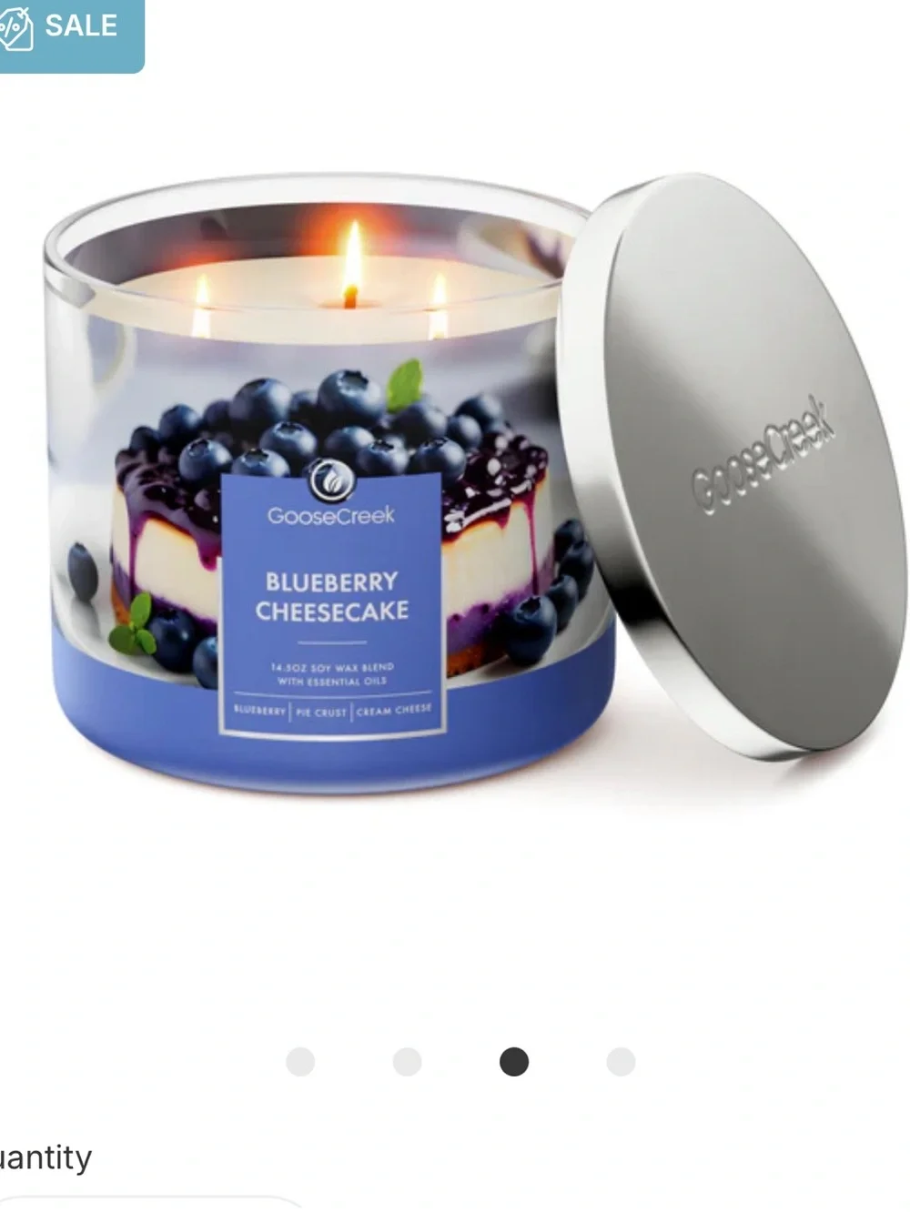 🫐 GC Blueberry Cheesecake 3-Wick Candle NEW